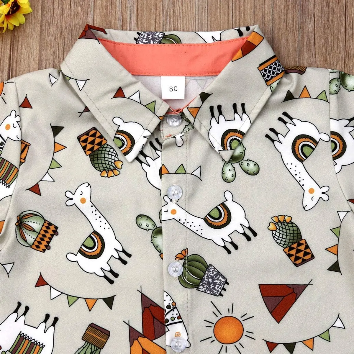 VISGOGO Toddler Baby Boy Flamingo Short Sleeve Button Down Shirt & Casual Shorts Set Summer Outfits 1-6 Years Clothes